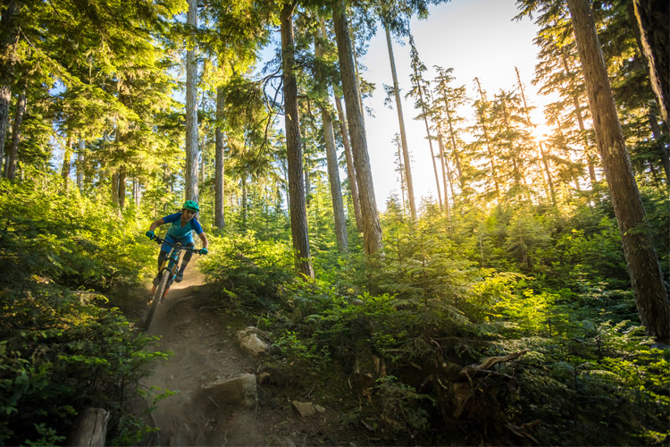 Whistler Mountain Bike Trails