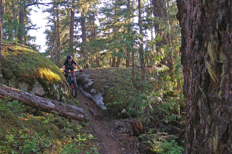 Out There Mountain Bike Trail