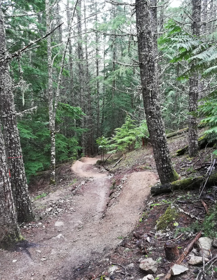 AM/PM Bike Trail Whistler