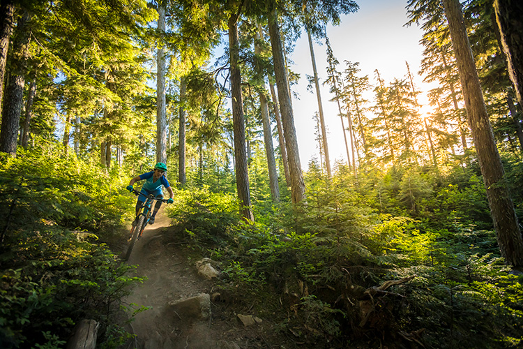 Cross Country Mountain Biking in Whistler