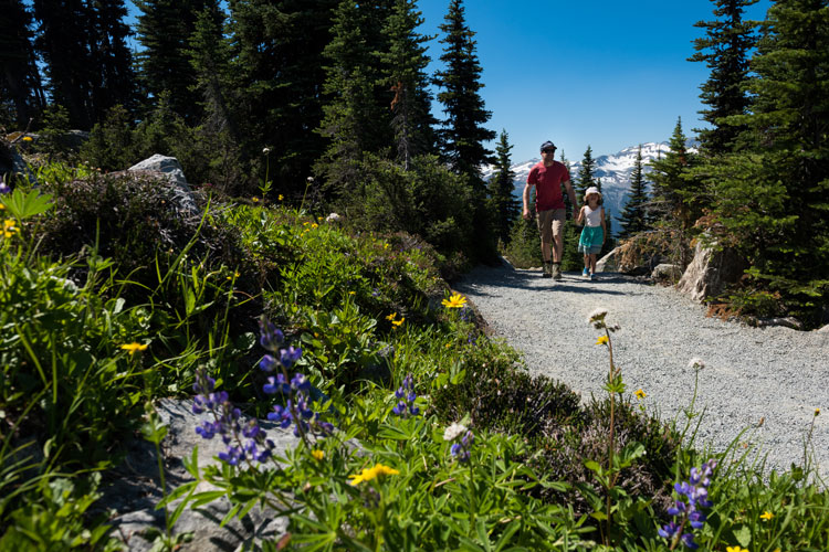 Hiking in the Whistler alpine
