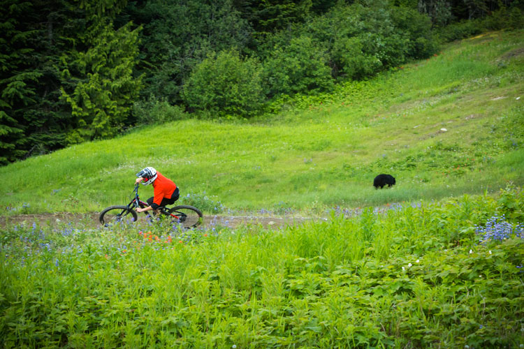 Whistler Mountain Bike Park