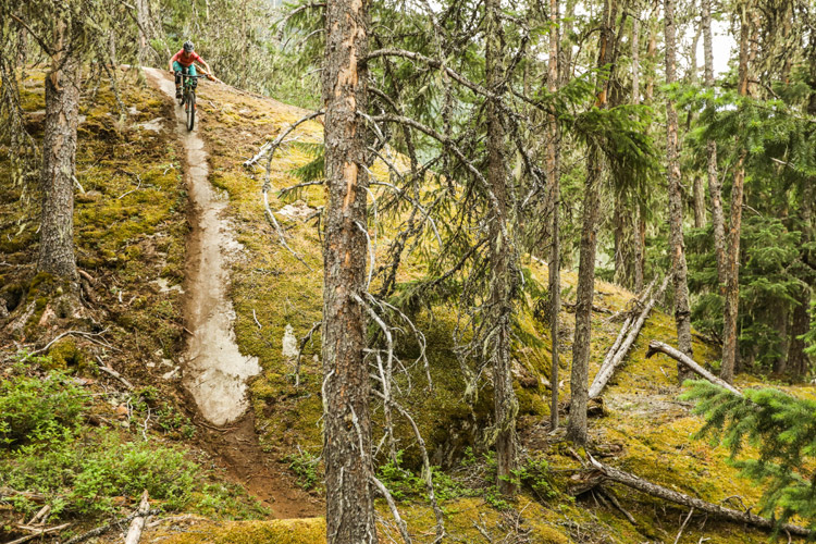 Rock Slab in Whistler North trails