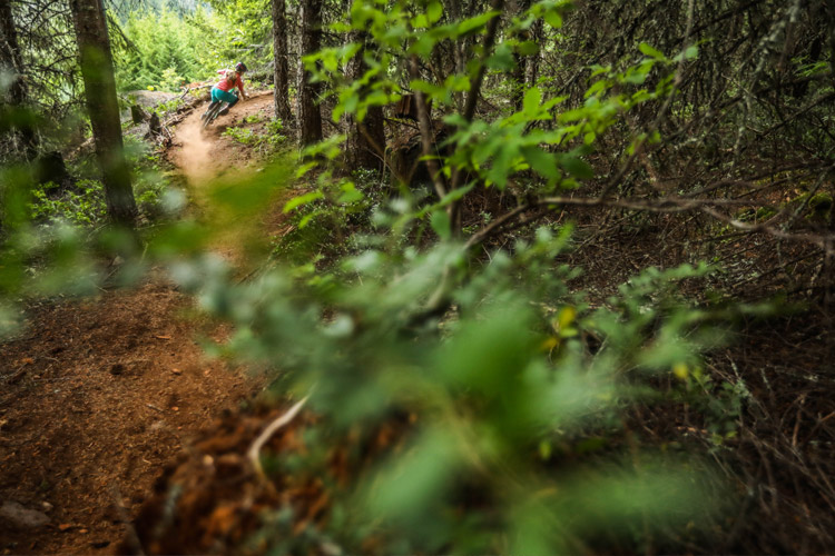 Whistler Canada Mountain Bike Trail