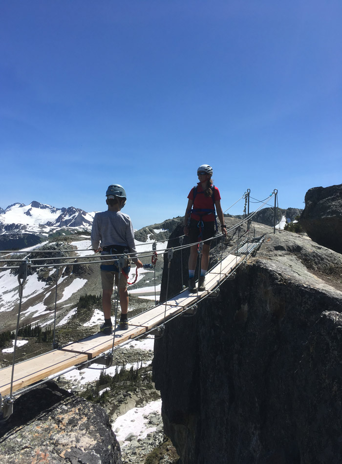 Mountain Skills Academy and Adventures Skywalk Tour