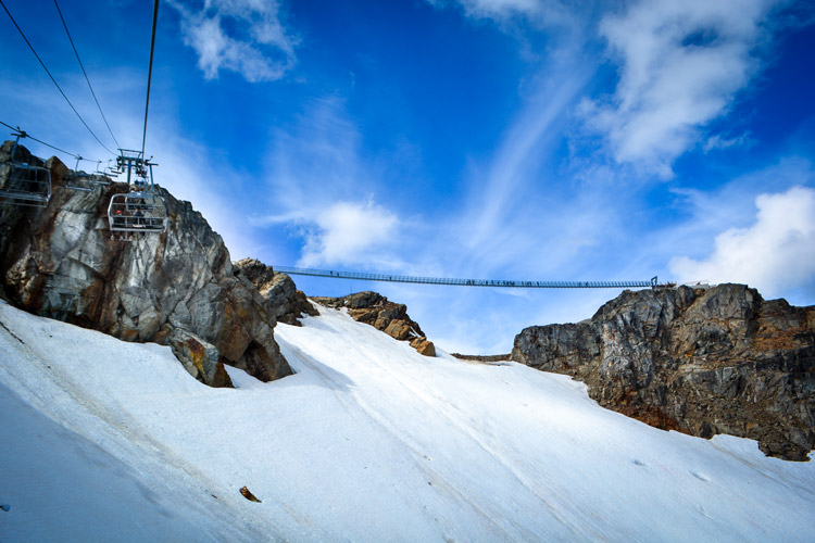 Whistler Blackcomb Suspension Bridge