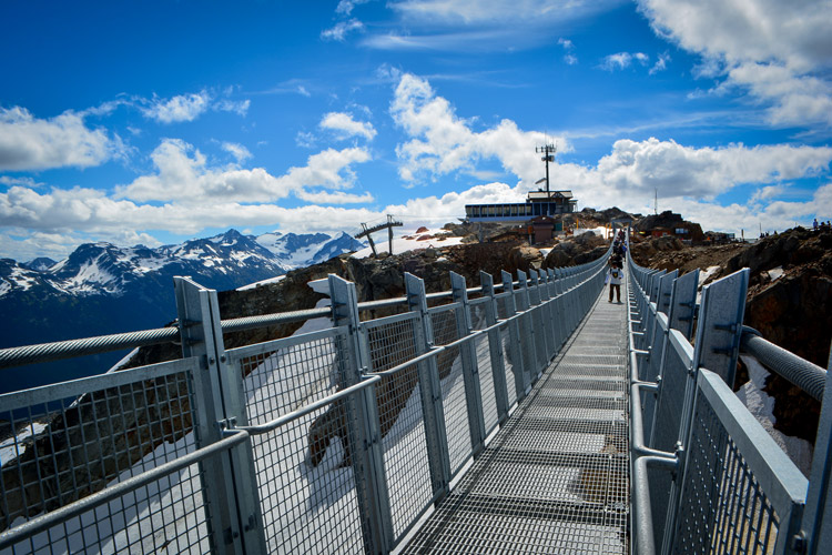 Whistler Peak Bridge