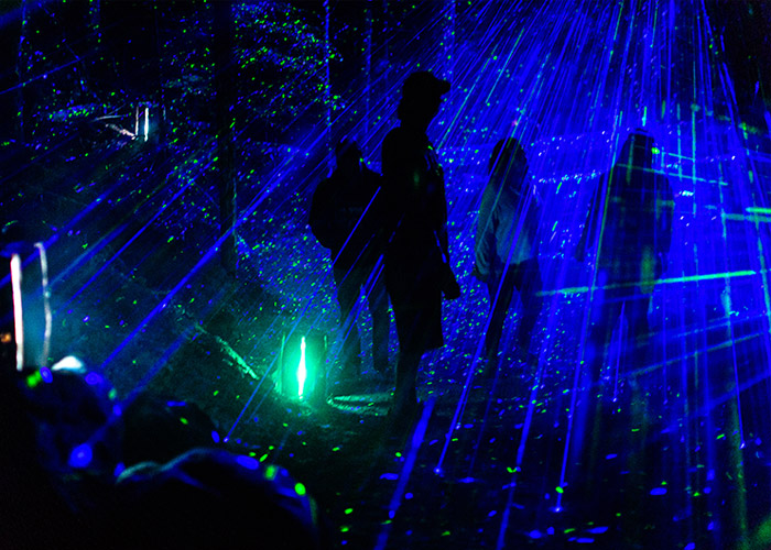 The number of light and lasers in the forest is unbelievable.