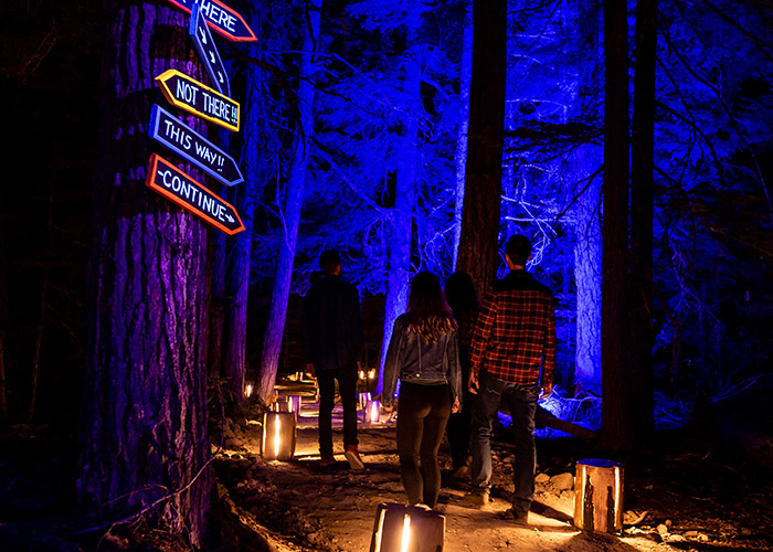 Beautifully lit paths take you through the forest of Cougar Mountain.