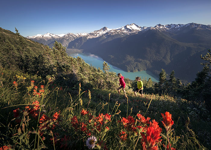 Alpine Hiking overlooking Cheakamus Lake on High Note Trail