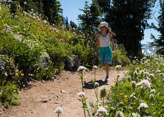 Child hiking in the alpine among the wildflowers