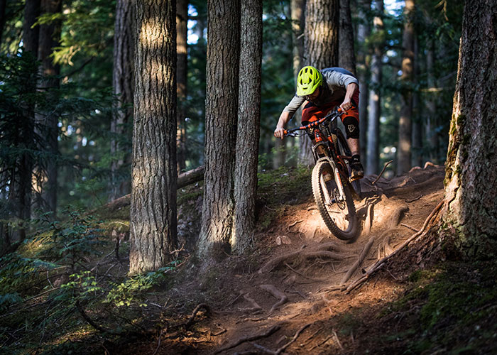 Would you like some roots with your water and energy bar? There’s no shortage of them on Blackcomb Mountain. 