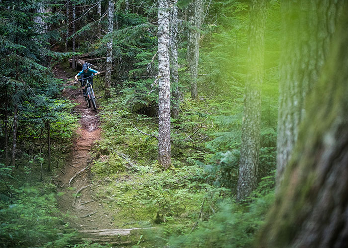 With roots, some flow, lengthy descents, and a forest that will take your breath away, what more could you want?