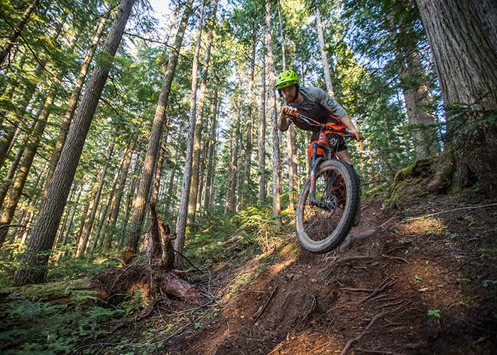 Flowy mountain bike trails hot sale