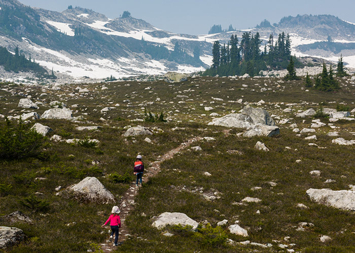 Running free in wild, open spaces.