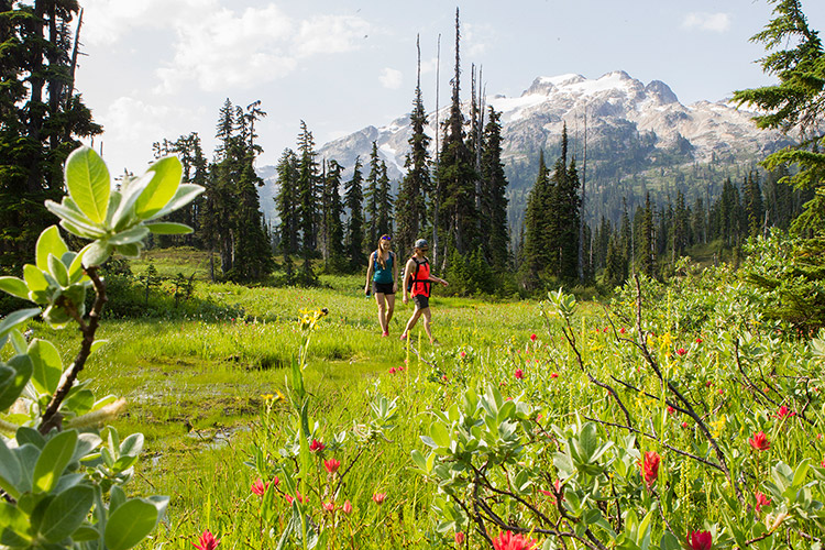 Hiking in the Callaghan Valley