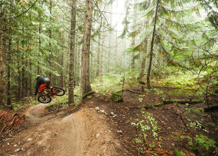 Mountain bike trails at Cheakamus