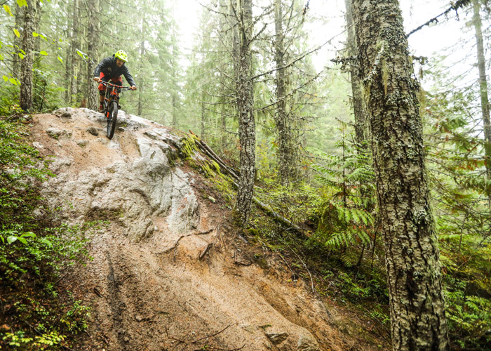 mountain biking trail