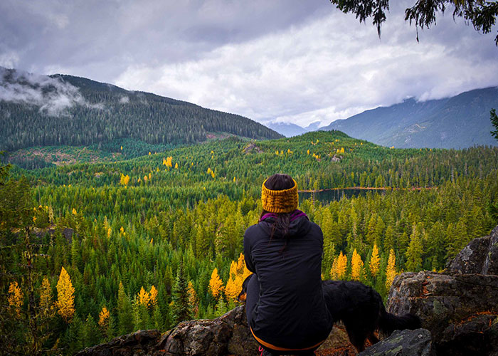 Woman looking out on a fall forest on a rainy day.