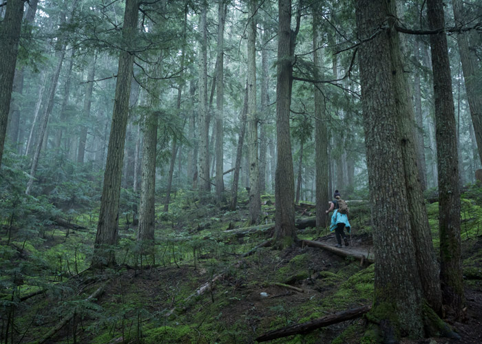 Hiking in the Rain: 15 Tips to Stay Dry & Have Fun