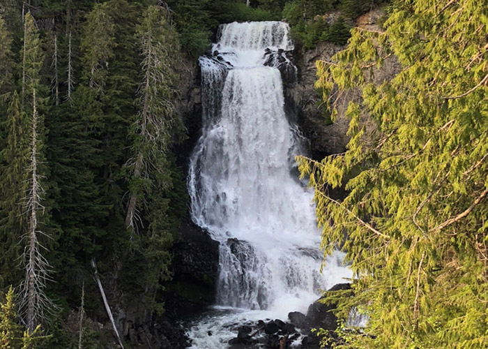 Alexander Falls in the Callaghan thunders through the rocks