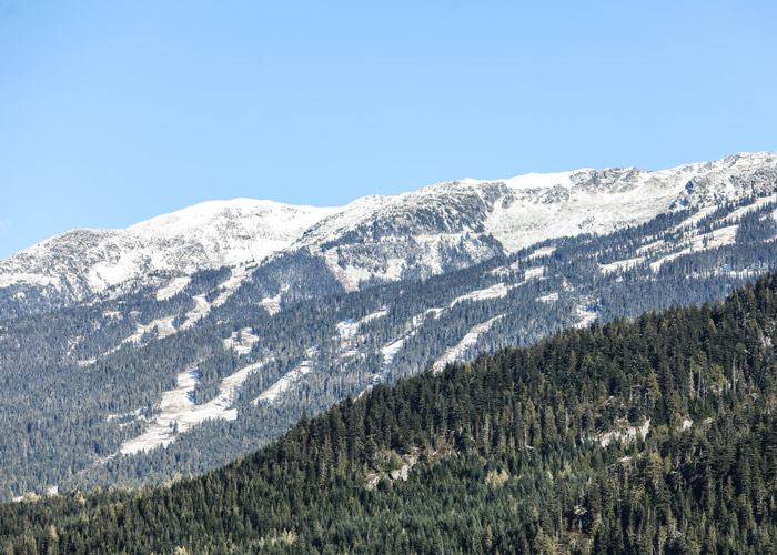 Views of Whistler Mountain with an early snow dusting from the Westside bike trails.