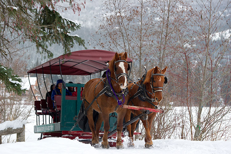 Two horses pull a sleigh across the snow at Green Lake in Whistler.