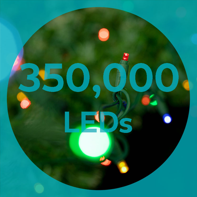 350,000 LED bulbs sparkle in the trees for Whistler festive season.