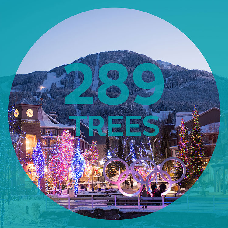 289 trees are decorated for Whistler's festive season.