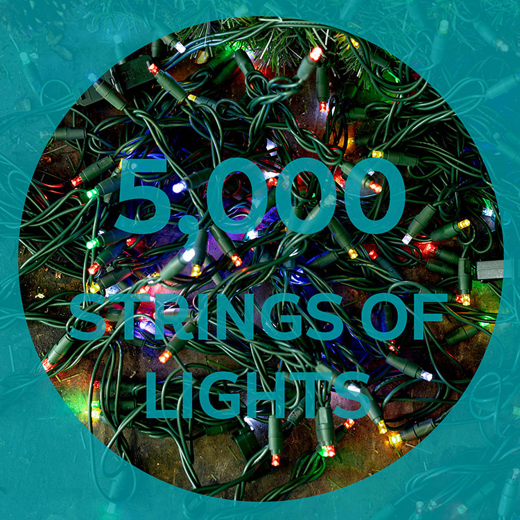 5,000 strings of lights adorn the trees in whistler over the festive period