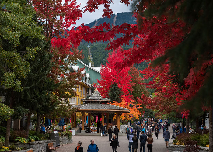 Whistler Village stroll in the fall with the trees turning red and yellow.