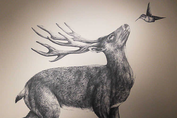The deer and hummingbird artwork on the walls of Hunter Gather.