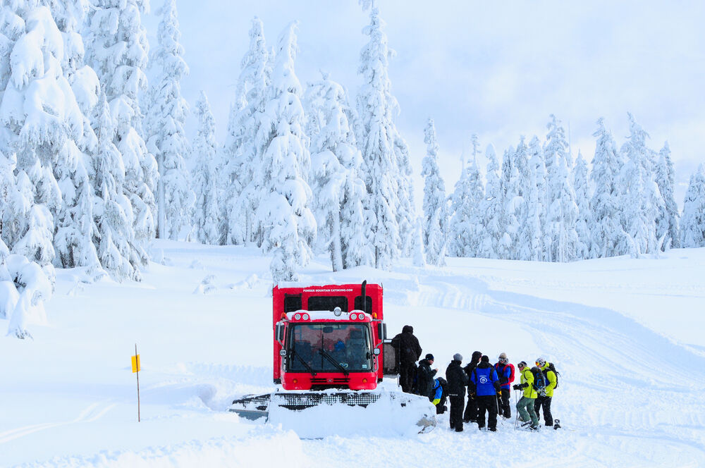 A group of people boarding a snowcat on a snowy day. 