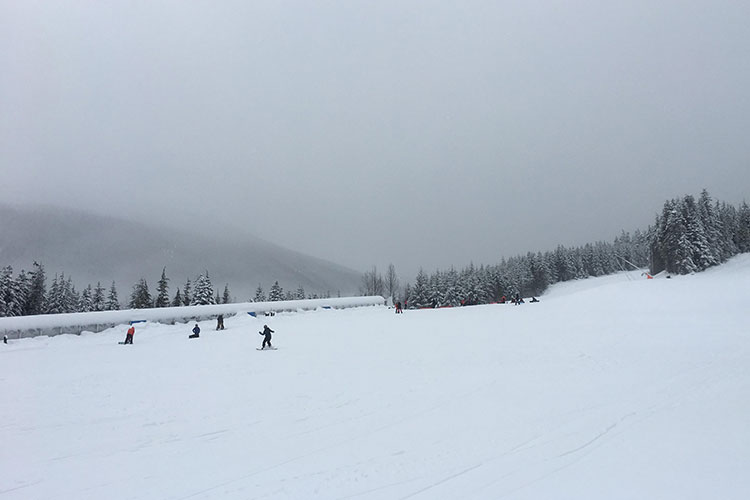 A gently sloped ski run on Whistler Mountain.