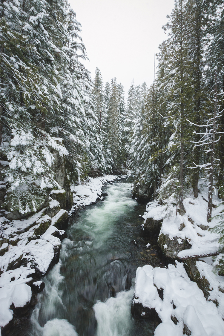 Cheakamus River Whistler