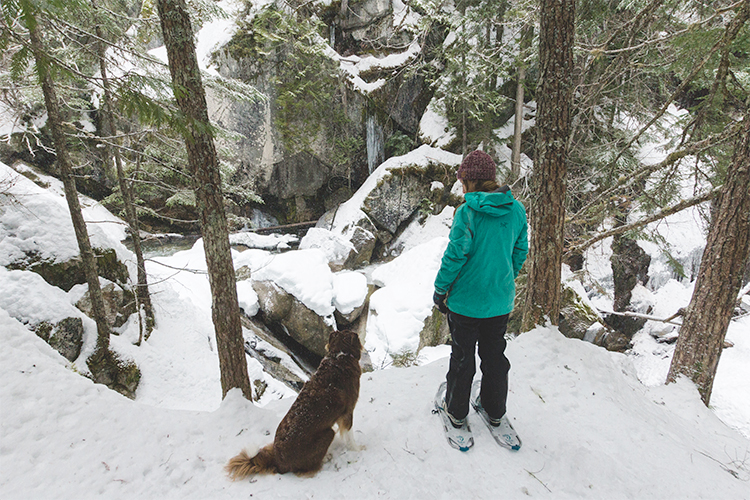 Rainbow Falls Snowshoeing Trial Whistler