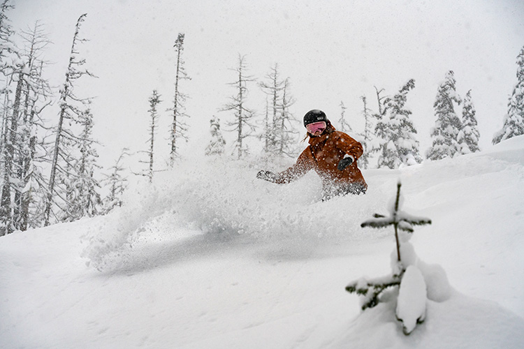 Powder Snowboarding in Whistler