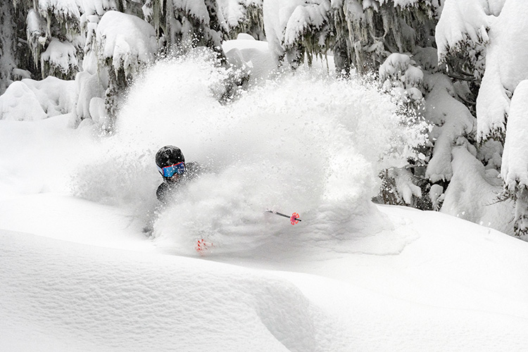 Skiing Powder in Whistler