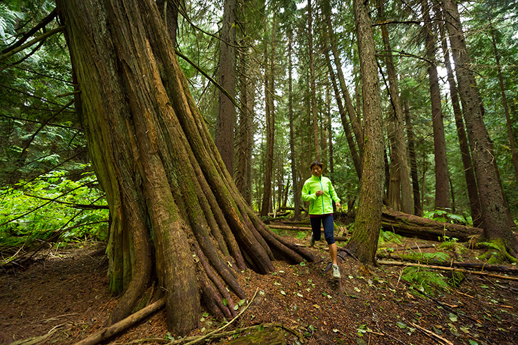 Woman trail running in Whistler