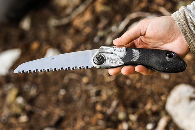 A hand saw for mountain bike trail maintenance