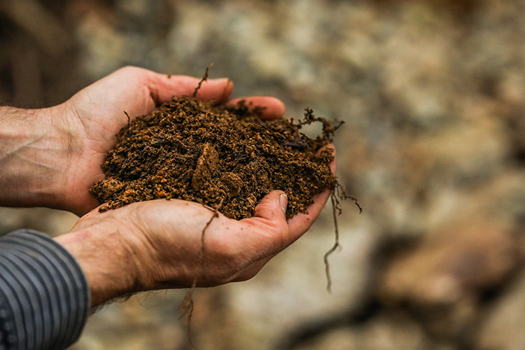 A handful of dirt from a mountain bike trail