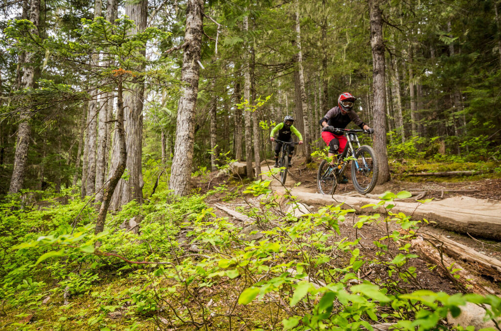 Two mountain bikers make their way along a trail in the Whistler Mountain Bike Park in the lushness of a forested section. 