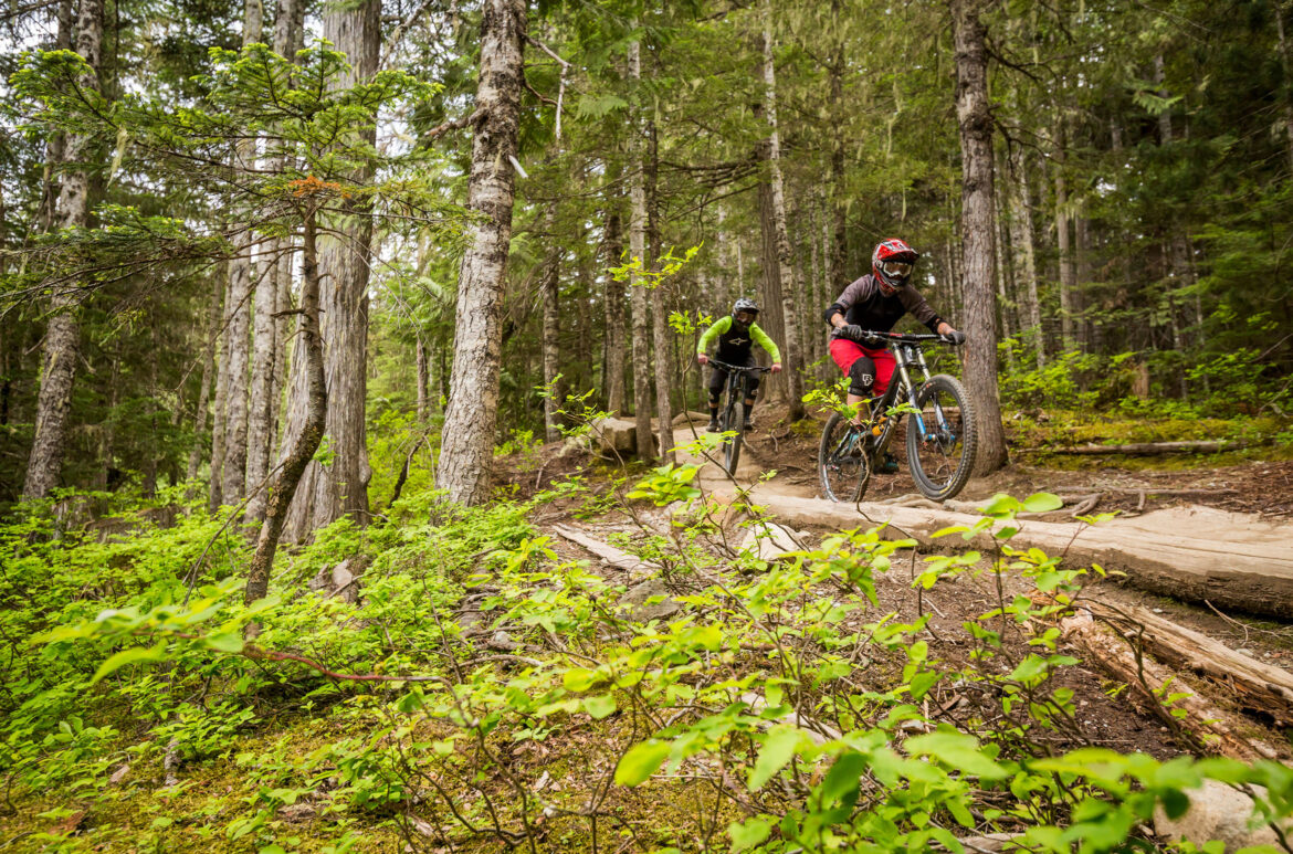 Whistler Mountain Bike Park 101: A First-Timer's Guide