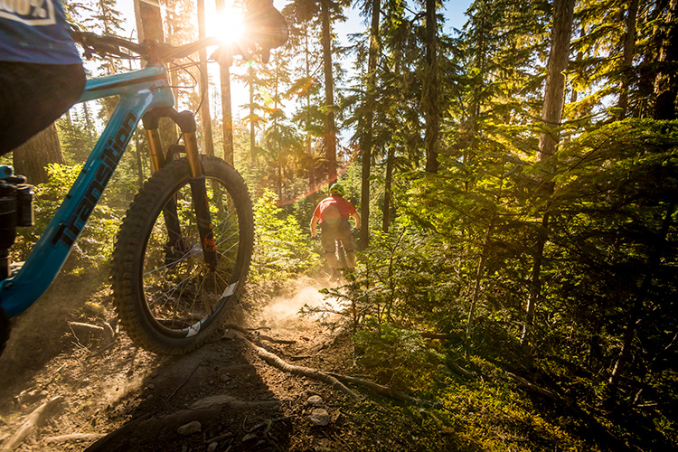 Mountain Bikers on a sunny trail in Whistler