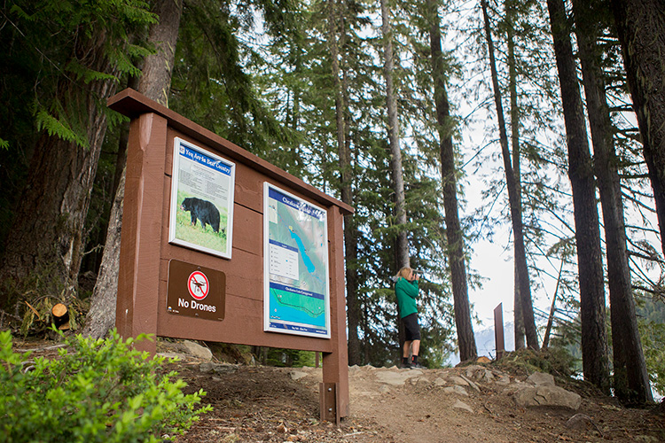 Trail map and information board at Cheakamus Lake