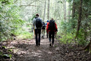 Insider's Guide: Hike or Bike to Cheakamus Lake - The Whistler Insider