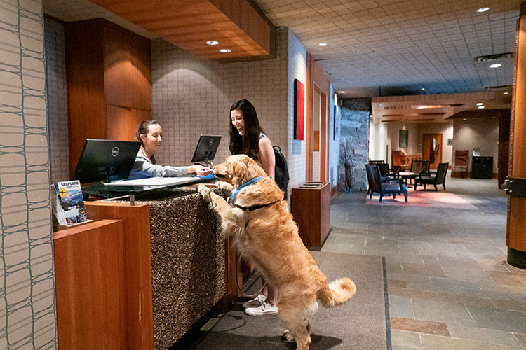 Dog checking in at the Listel Hotel in Whistler