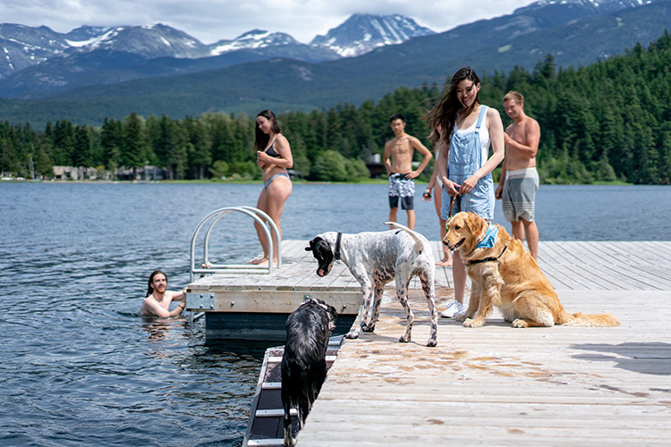 Dog dock ramp at Rainbow Park in Whistler