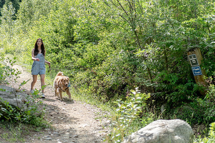 Woman walking her dog on the Flank Trail in Whistler