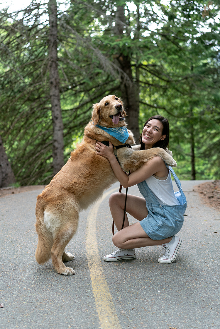 Dog giving person a hug on the Valley Trail in Whistler